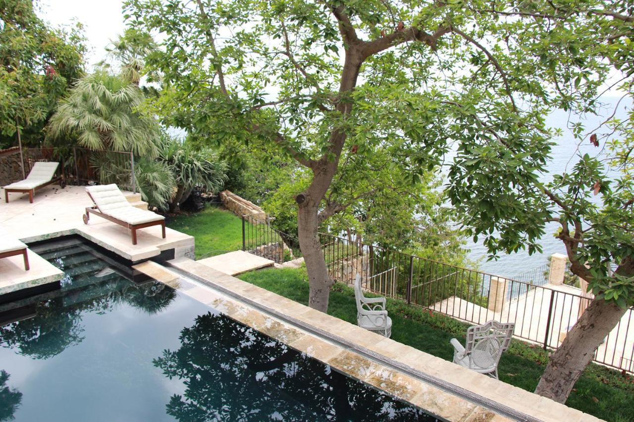 El Jardin Botanico Villa Luz Altea Dış mekan fotoğraf