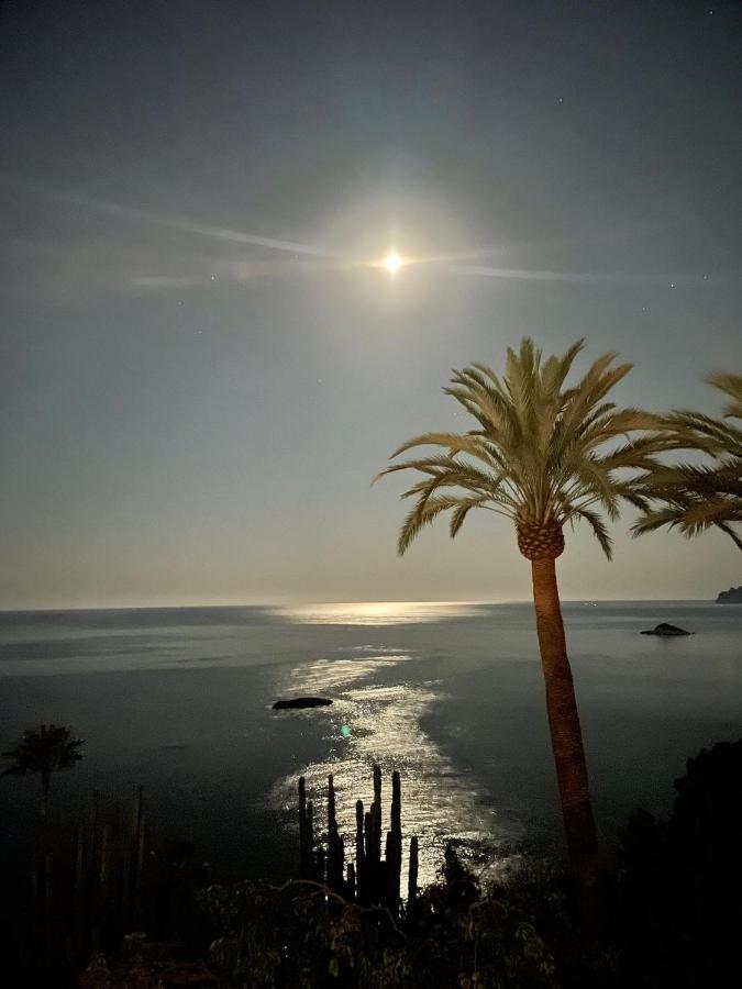 El Jardin Botanico Villa Luz Altea Dış mekan fotoğraf