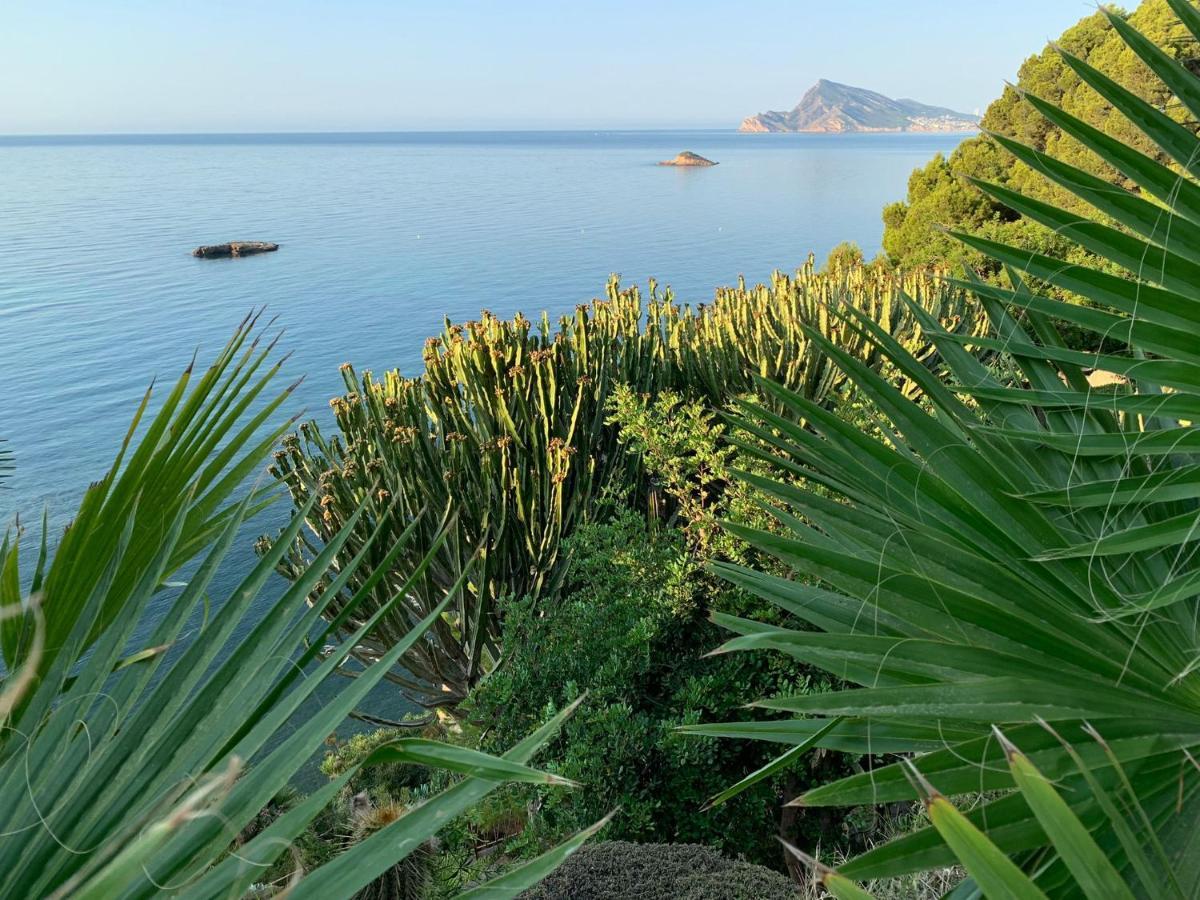 El Jardin Botanico Villa Luz Altea Dış mekan fotoğraf