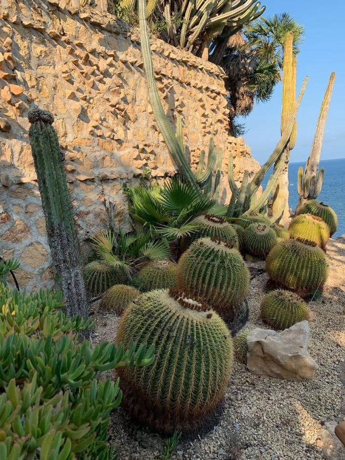 El Jardin Botanico Villa Luz Altea Dış mekan fotoğraf